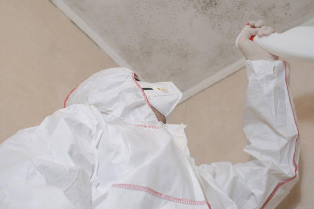 Professional Mold Removal in Suny Oswego, NY